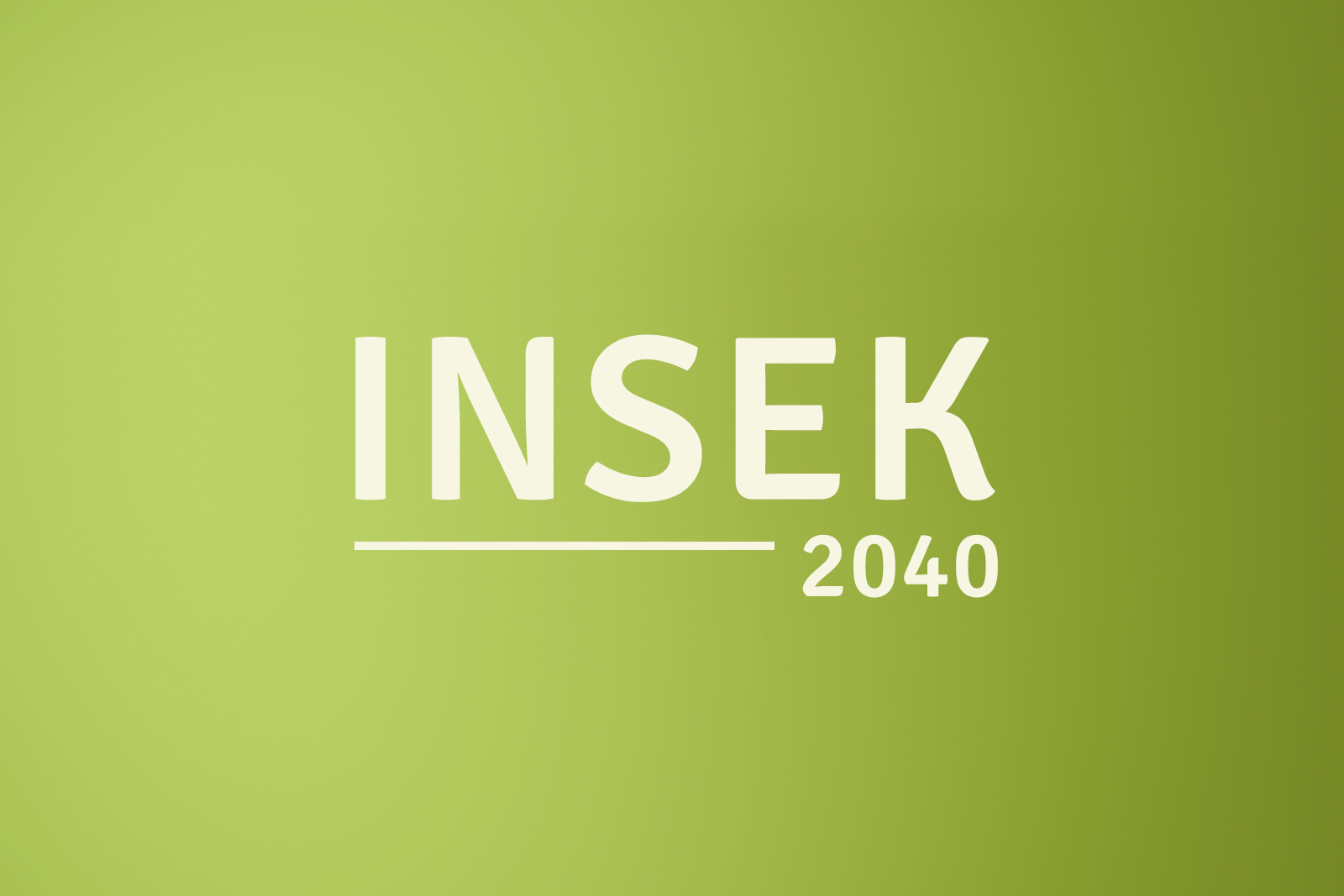 INSEK (Stadtentwicklungskonzept)